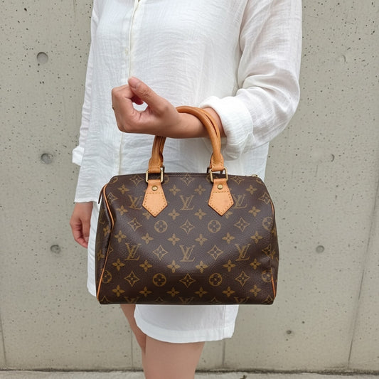 Include Entrupy Certificate of Authenticity|Good ( Rank AB)| Louis Vuitton Monogram Speedy 25 Hand Bag |26042803