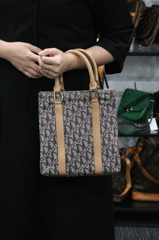 Rank A |Dior Trotter ToteBag|23111702