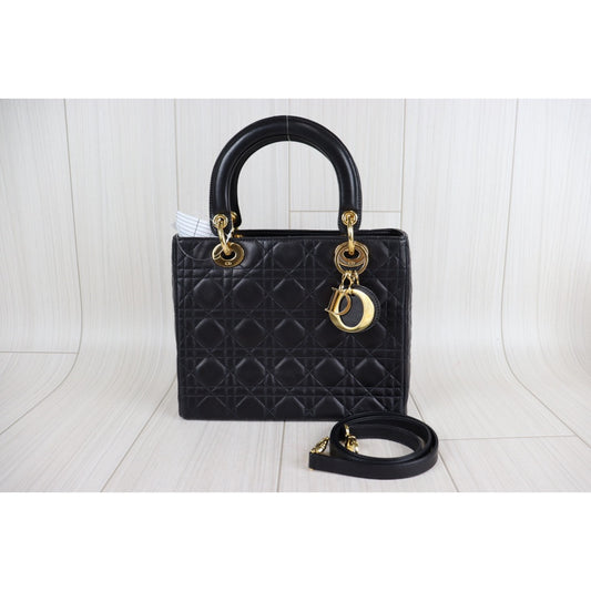 Rank A | Dior Dior Hand Bag |22101308