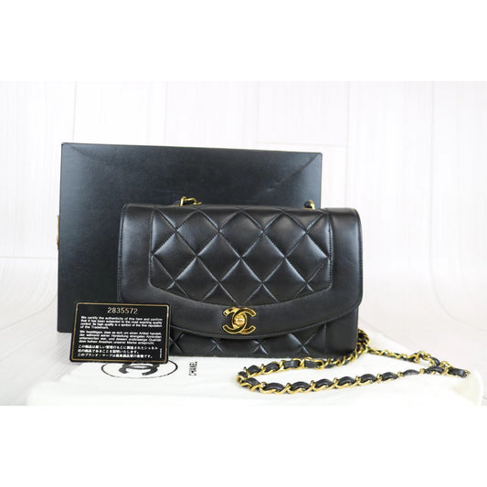 Rank A | CHANEL Matrasse Diana Lamb Skin Double Flap Double Chain Bag |032925