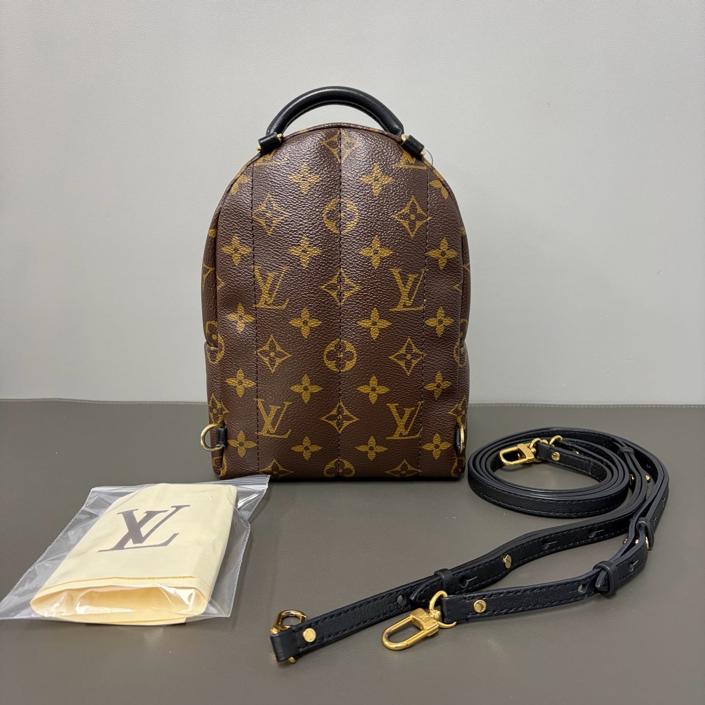 Include Entrupy Certificate of Authenticity｜Good ( Rank AB)｜  Louis Vuitton Monogram Coated Canvas Mini Palm Springs Backpack