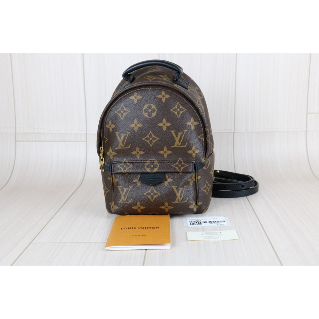 Very Good ( Rank A) ｜  LV Monogram Coated Canvas Mini Palm Springs Backpack｜X25070605