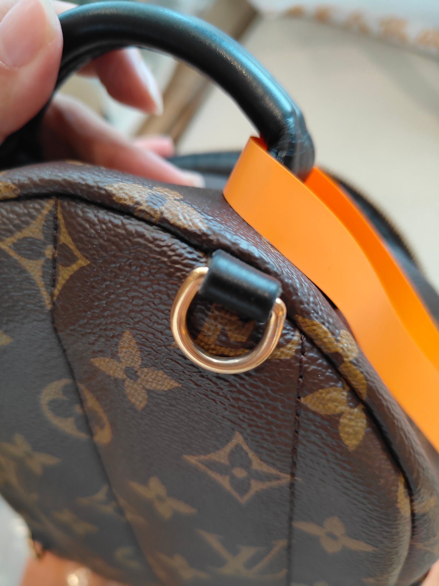 LV Monogram Coated Canvas Mini Palm Springs Backpack