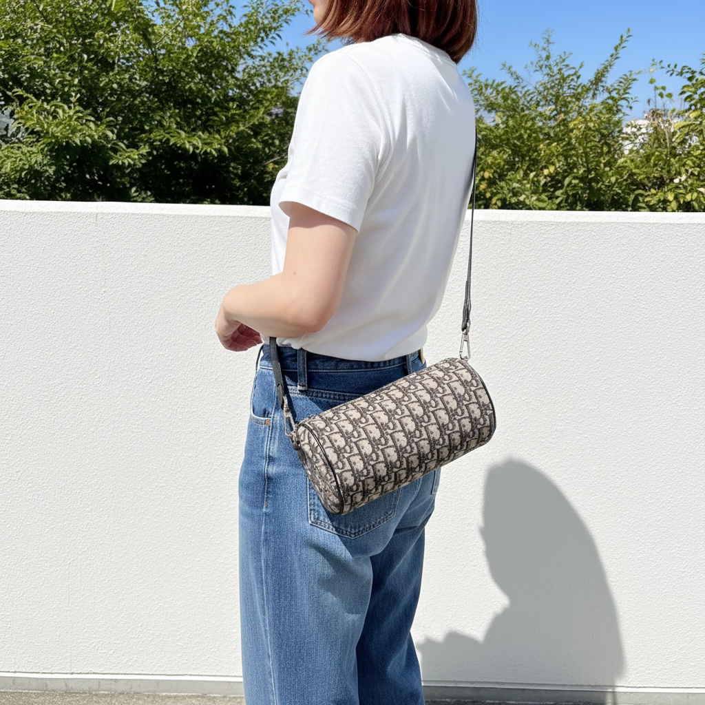 Include Entrupy Certificate of Authenticity｜Good ( Rank AB) ｜ Dior Trotter Roller Papillon Shoulder Bag ｜S26031801