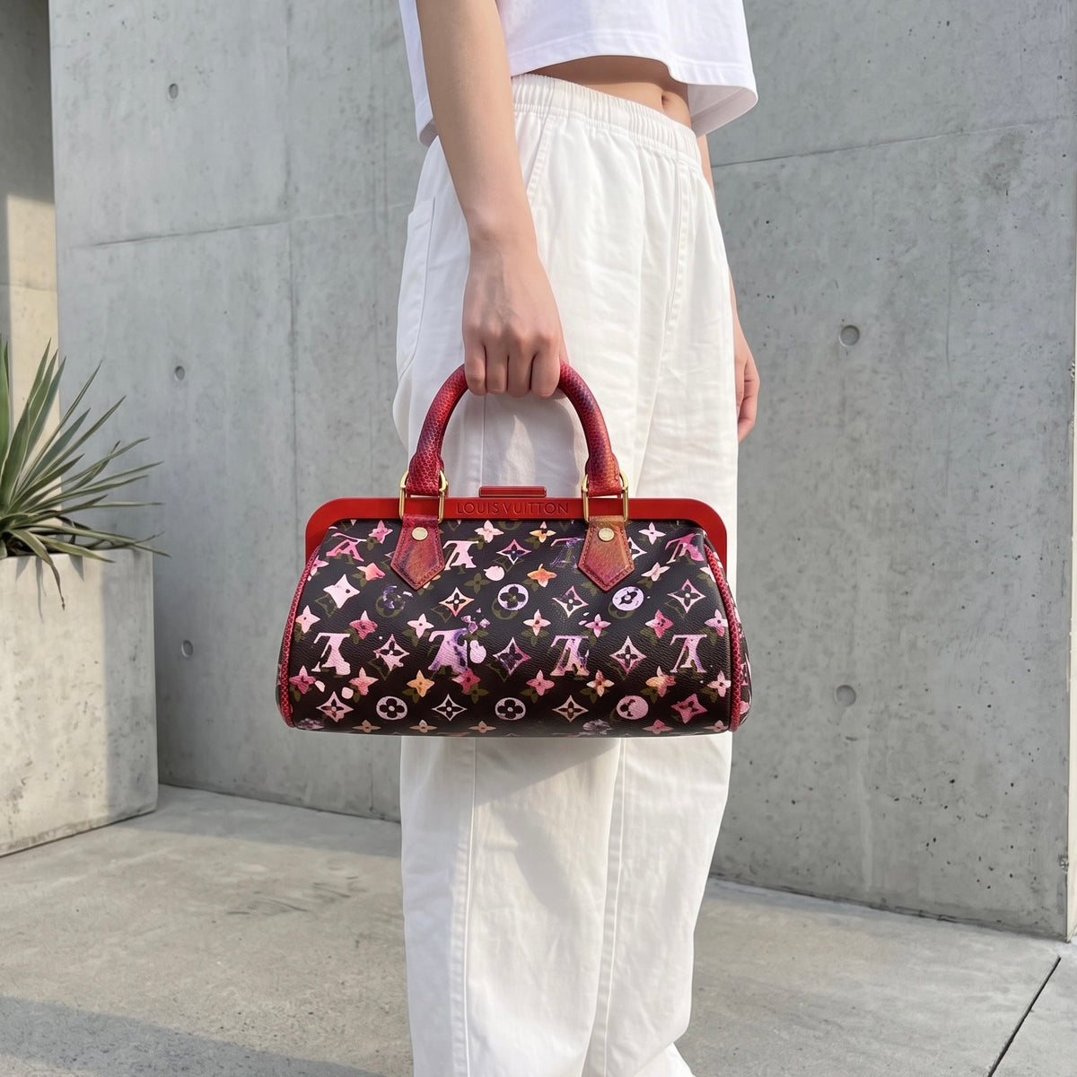 Include Entrupy Certificate of Authenticity｜Excellent（Rank SA）｜ Louis Vuitton Richard Prince Monogram Watercolor Papillon Frame Top Handle Bag｜S26081801