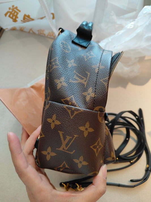 LV Monogram Coated Canvas Mini Palm Springs Backpack