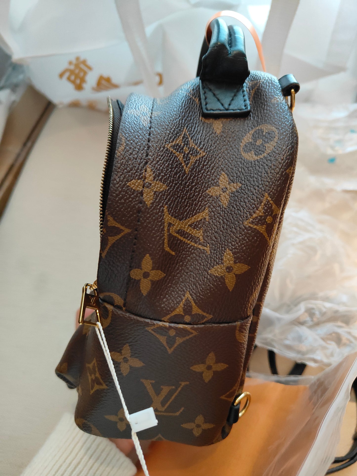 LV Monogram Coated Canvas Mini Palm Springs Backpack