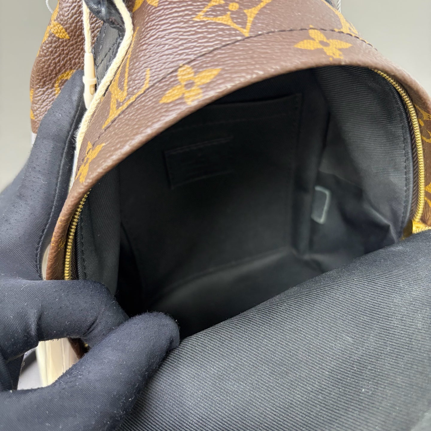 Include Entrupy Certificate of Authenticity｜Good ( Rank AB)｜  Louis Vuitton Monogram Coated Canvas Mini Palm Springs Backpack