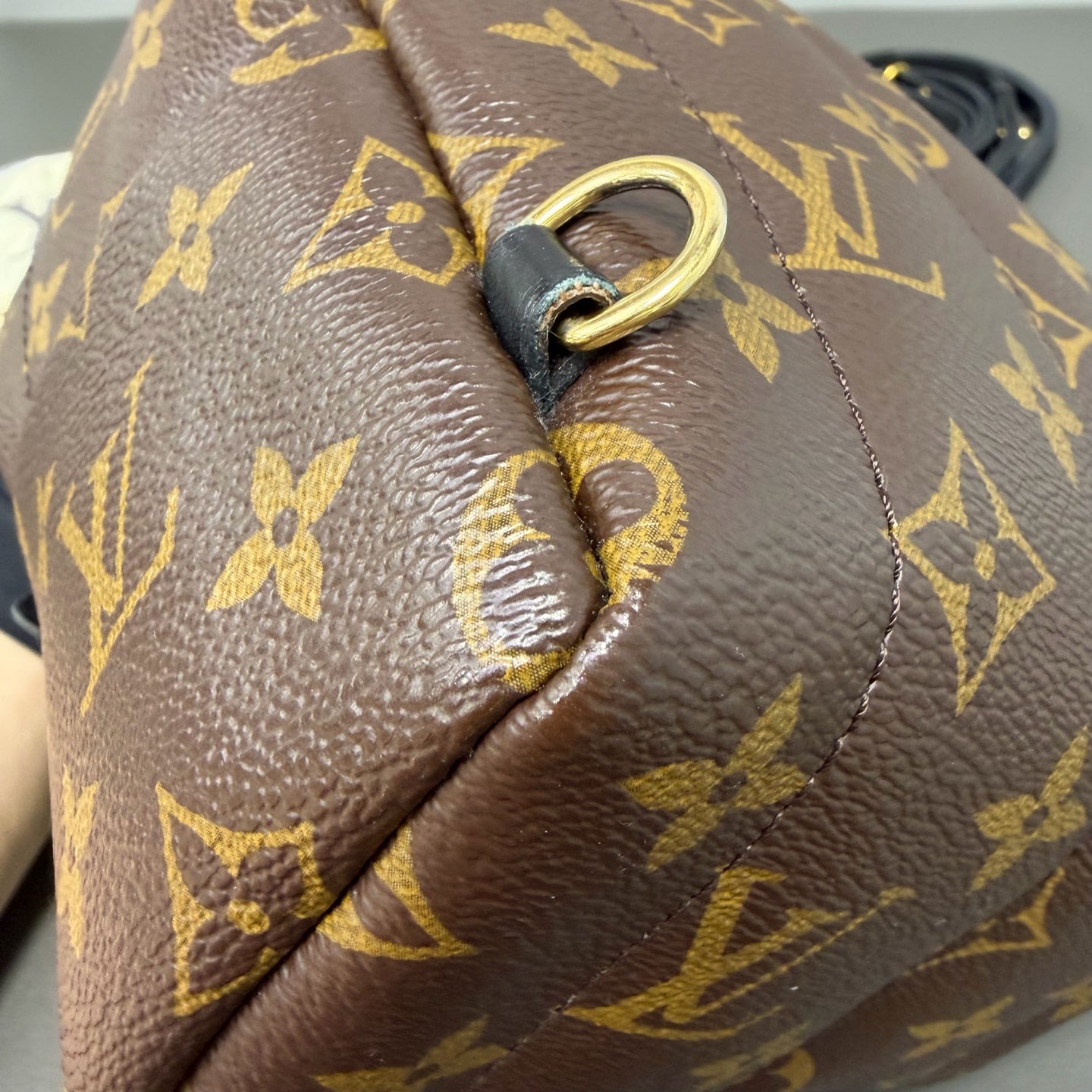 Include Entrupy Certificate of Authenticity｜Good ( Rank AB)｜  Louis Vuitton Monogram Coated Canvas Mini Palm Springs Backpack