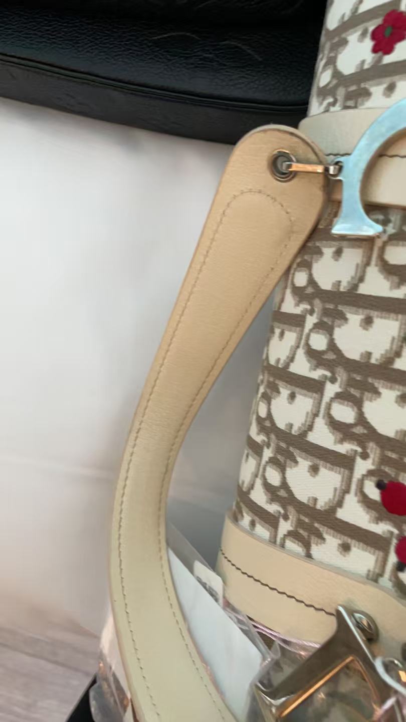 Good ( Rank AB)｜Dior Trotter Bag