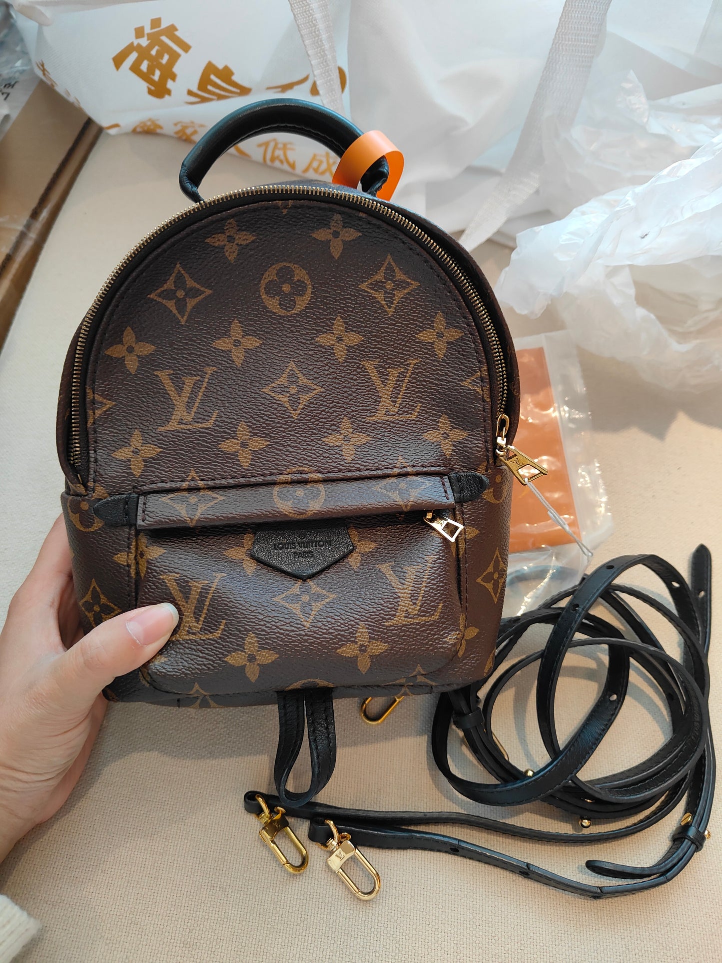LV Monogram Coated Canvas Mini Palm Springs Backpack