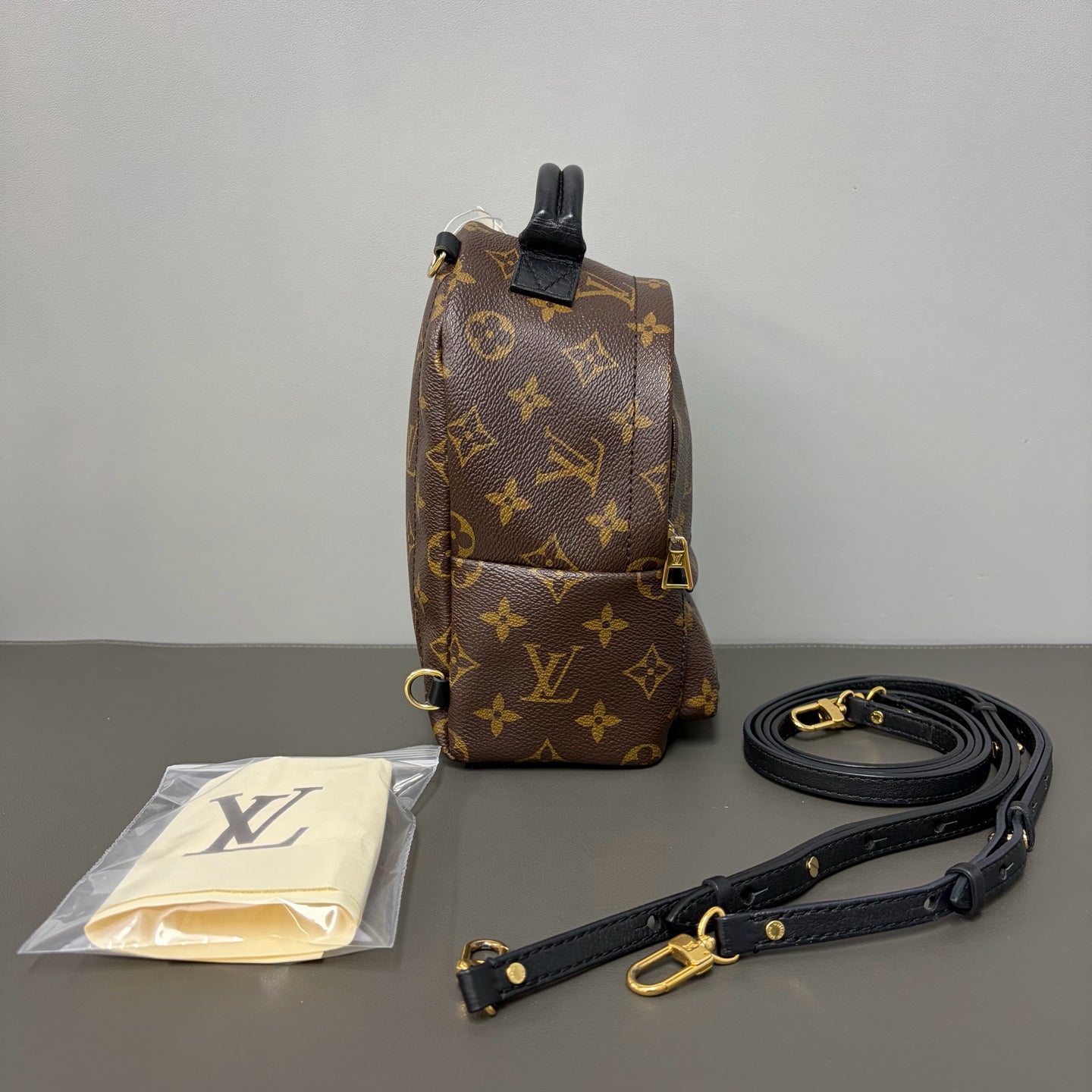 Include Entrupy Certificate of Authenticity｜Good ( Rank AB)｜  Louis Vuitton Monogram Coated Canvas Mini Palm Springs Backpack