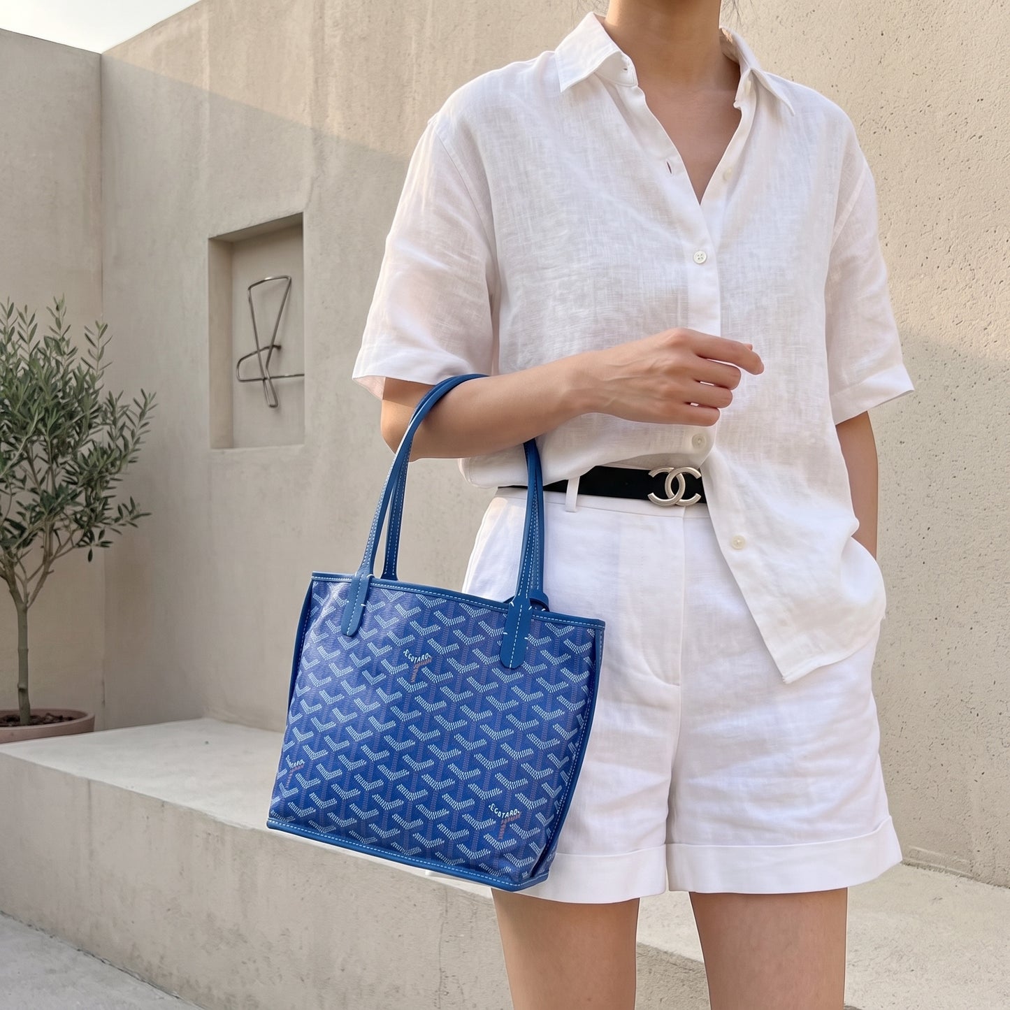 Include Entrupy Certificate of Authenticity｜Good ( Rank AB)｜ Goyard Anjou Mini Tote Bag Blue｜X26051706