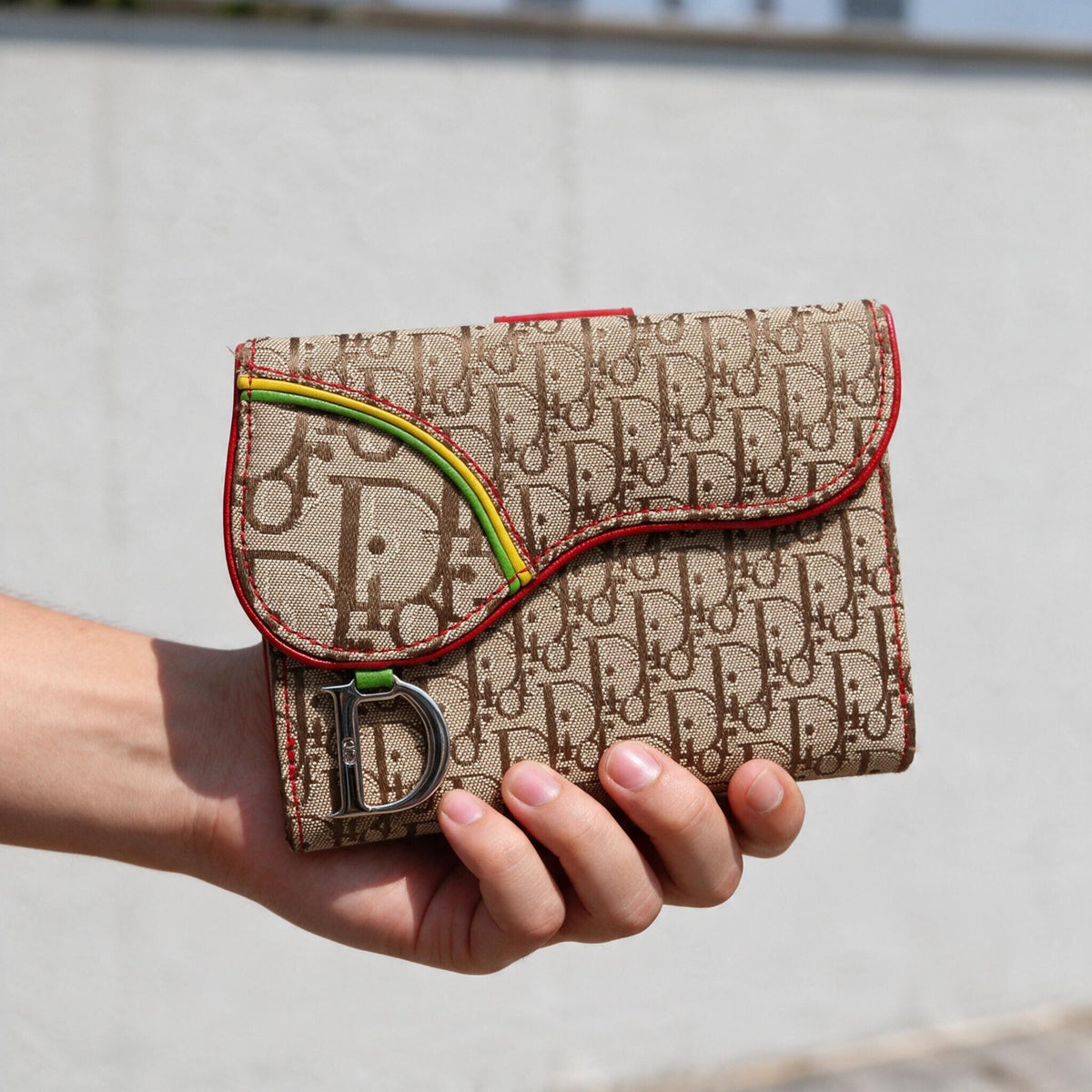 Include Entrupy Certificate of Authenticity｜Very Good ( Rank A)｜Dior Trotter Rasta Saddle Wallet ｜26101407