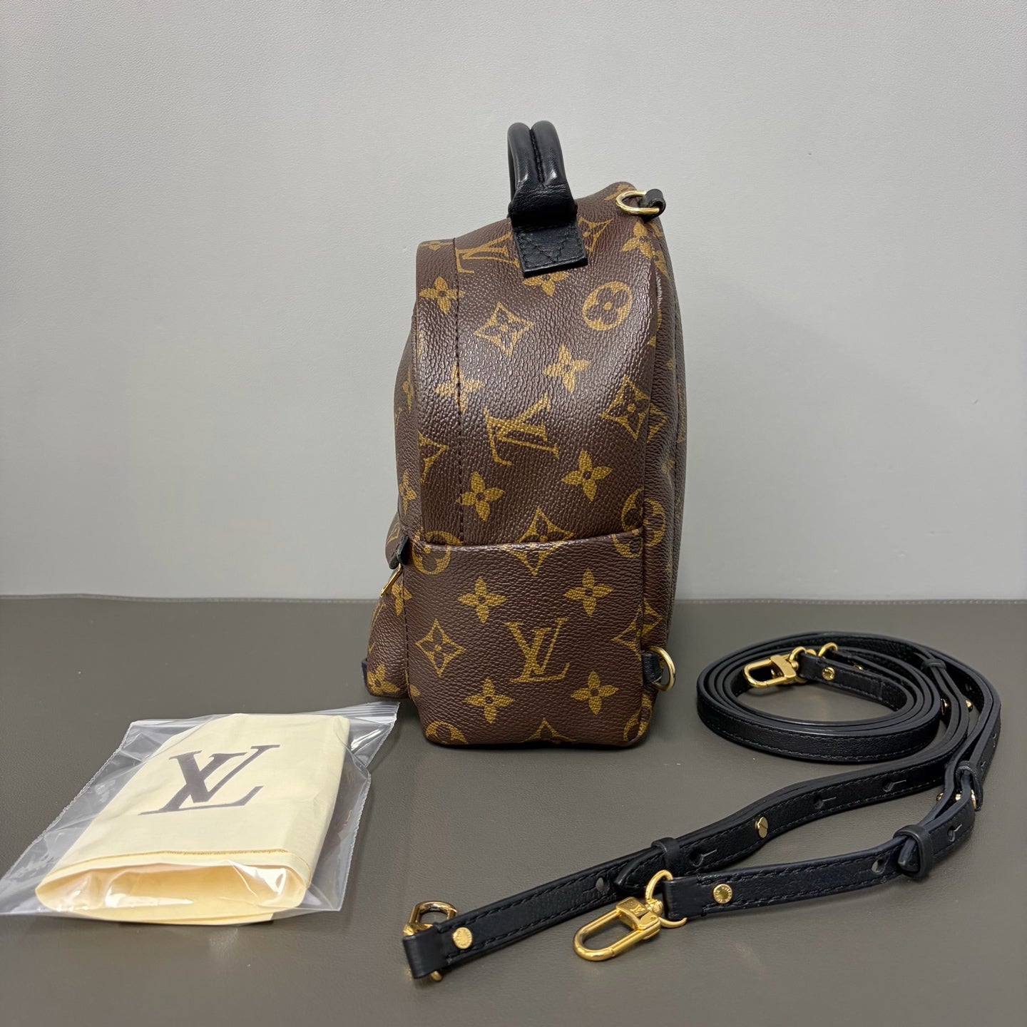 Include Entrupy Certificate of Authenticity｜Good ( Rank AB)｜  Louis Vuitton Monogram Coated Canvas Mini Palm Springs Backpack