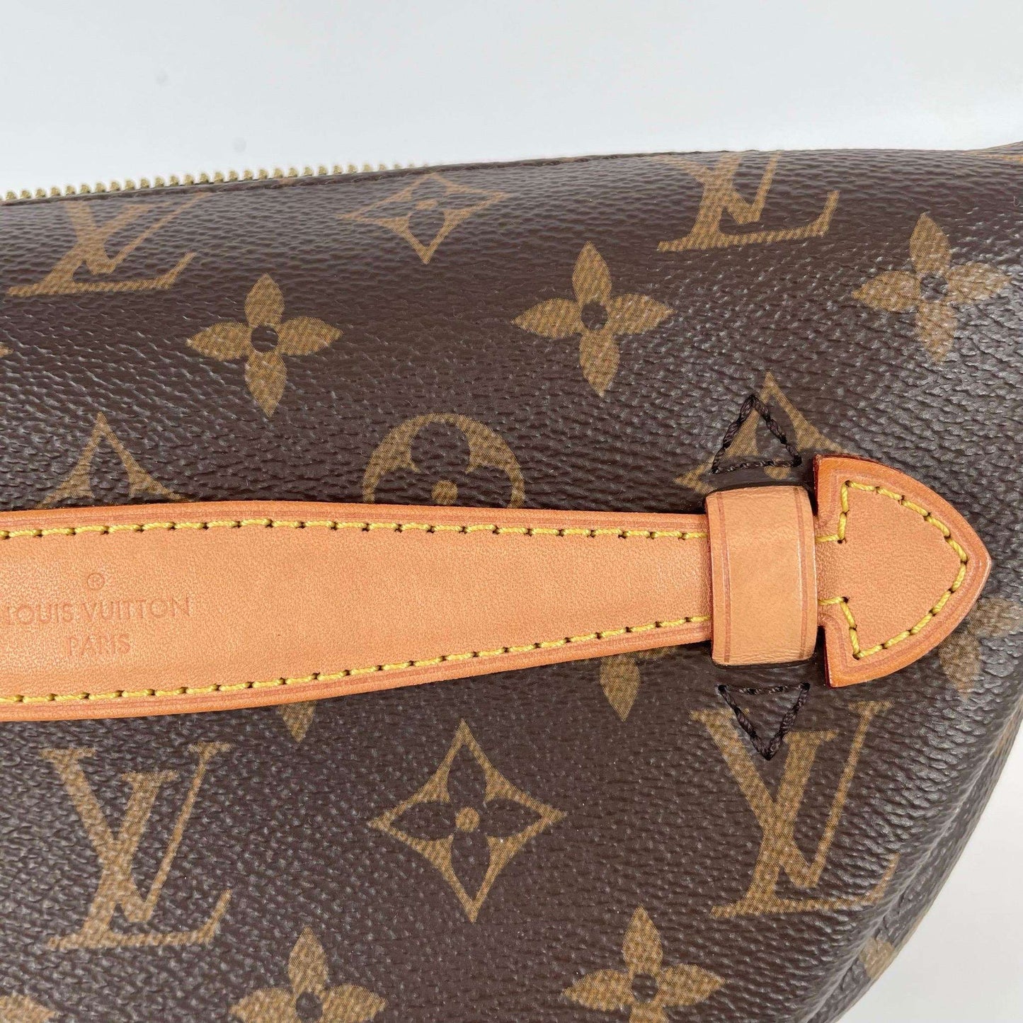 LV  Monogram Body Bag Waist Bag