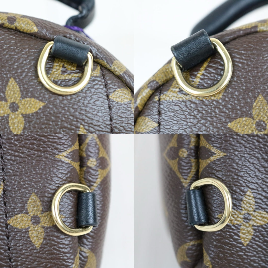 Very Good ( Rank A) ｜  LV Monogram Coated Canvas Mini Palm Springs Backpack｜W25073014