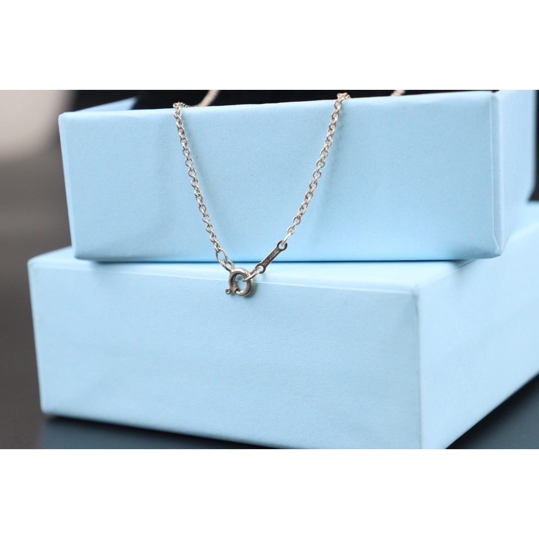Rank SA｜Tiffany & Co. Heart Necklace SV925｜23042104