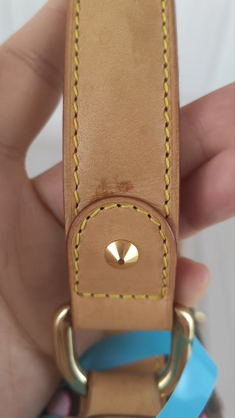 LV Monogram Takashi Murakami Sakura Handbag