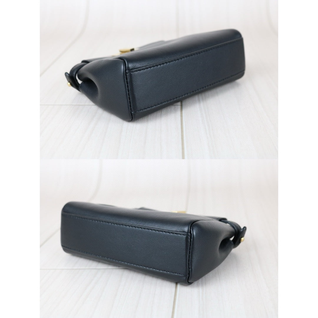 Excellent（Rank SA）｜ FENDI Lamb Skin Micro Mini Peeapoo Handbag With Shoulder Bag Black｜S25041803