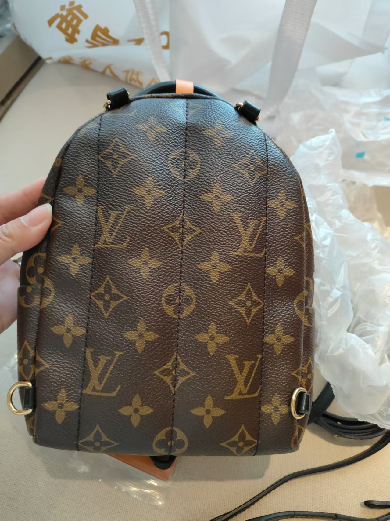 LV Monogram Coated Canvas Mini Palm Springs Backpack