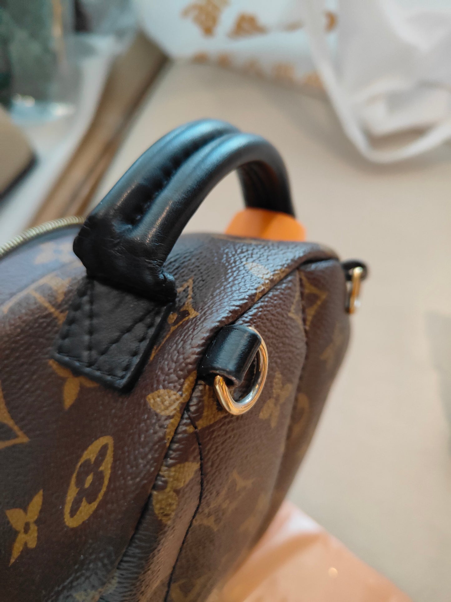 LV Monogram Coated Canvas Mini Palm Springs Backpack