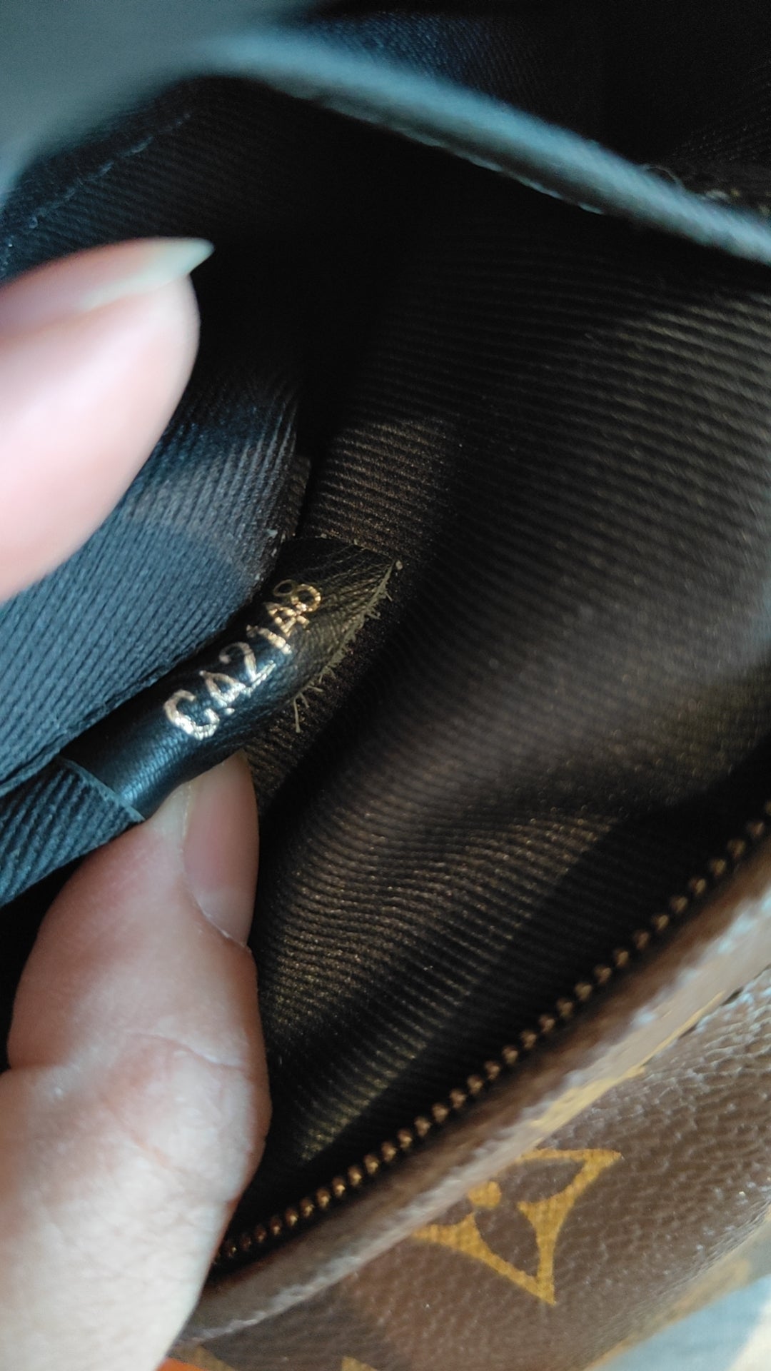 LV Monogram Coated Canvas Mini Palm Springs Backpack