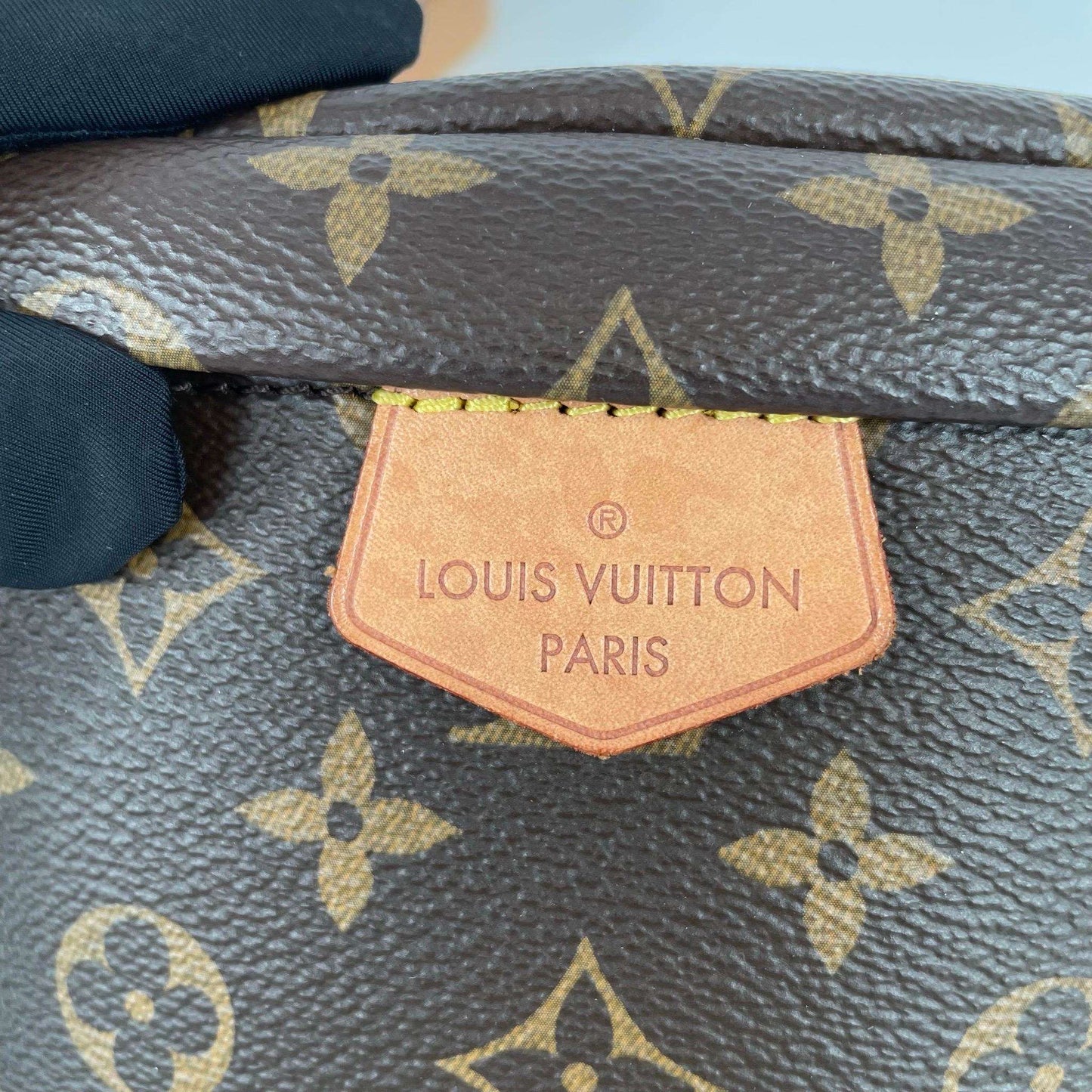 LV  Monogram Body Bag Waist Bag