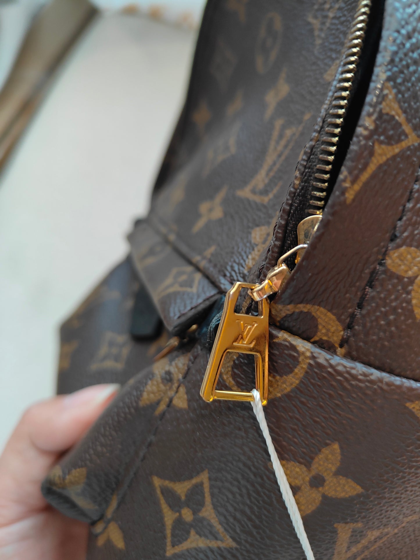 LV Monogram Coated Canvas Mini Palm Springs Backpack
