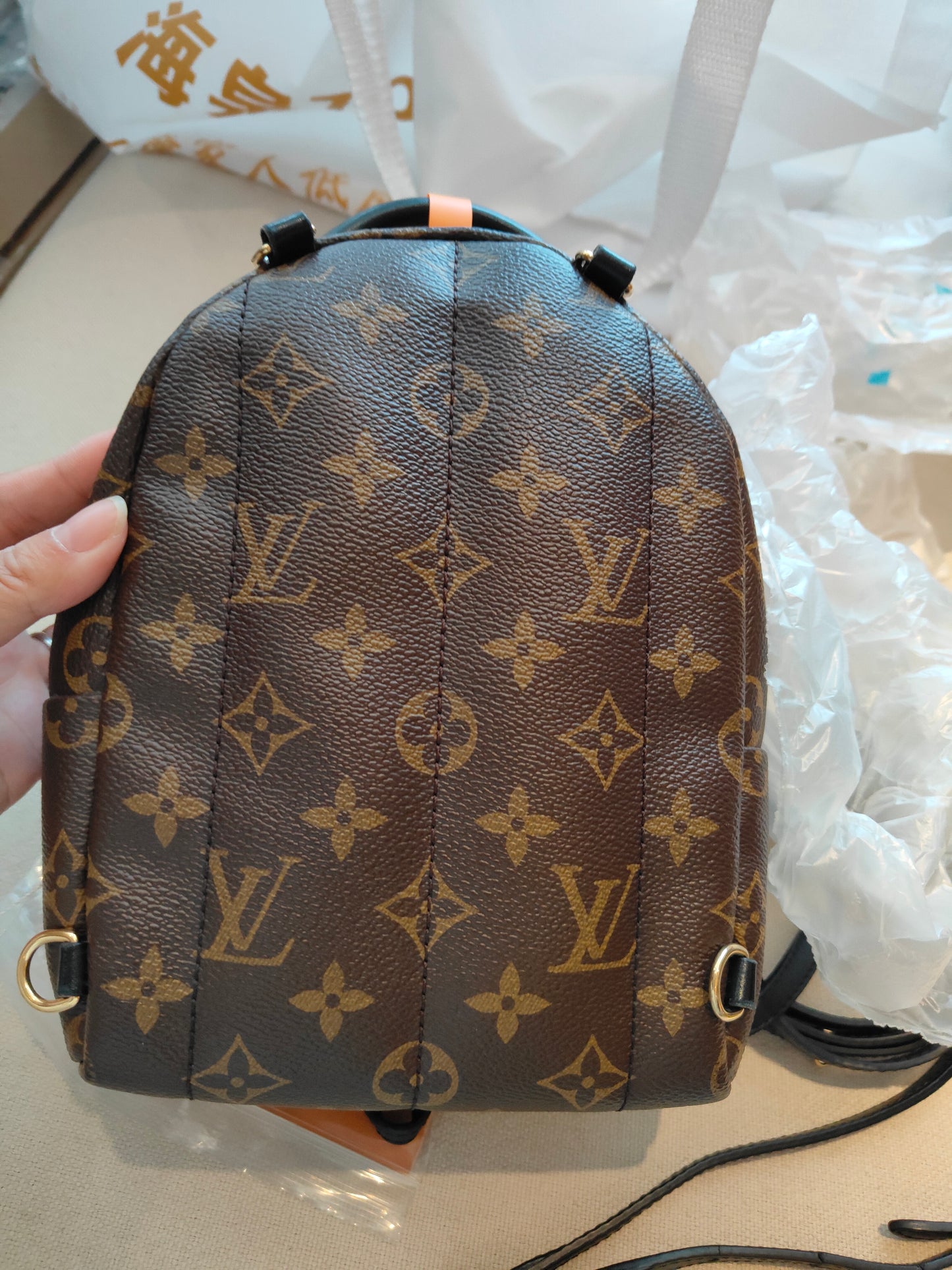 LV Monogram Coated Canvas Mini Palm Springs Backpack
