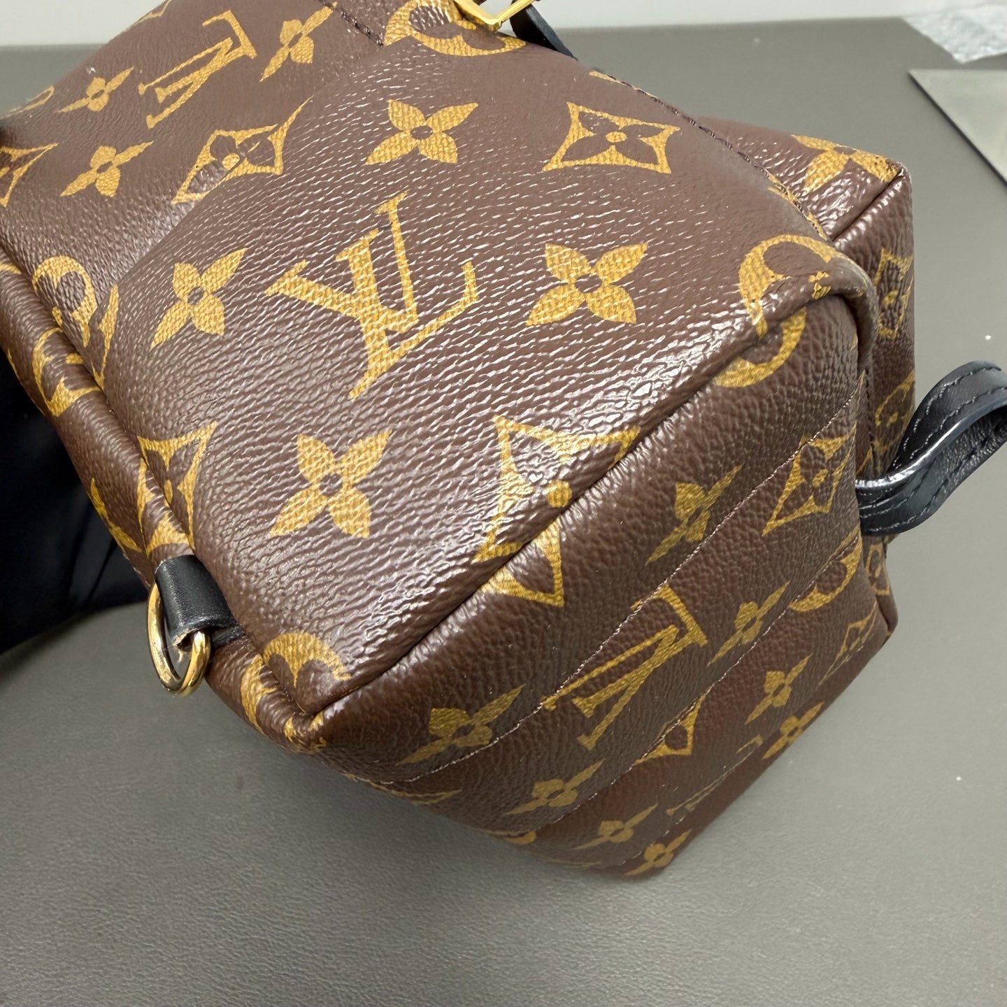 Include Entrupy Certificate of Authenticity｜Good ( Rank AB)｜  Louis Vuitton Monogram Coated Canvas Mini Palm Springs Backpack