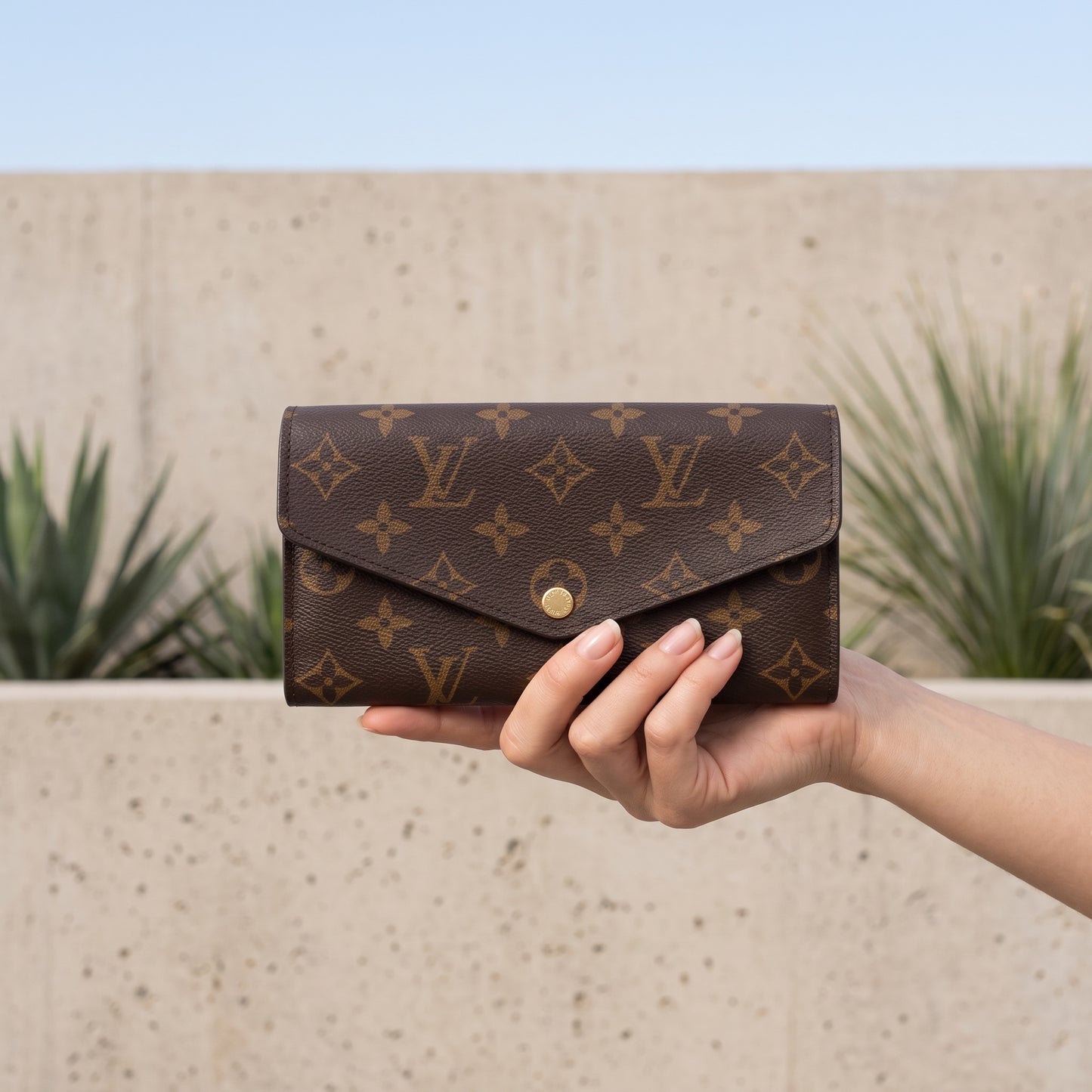 Include Entrupy Certificate of Authenticity｜Good ( Rank AB)｜ Louis Vuitton Monogram Emilie Long Wallet ｜S26072514
