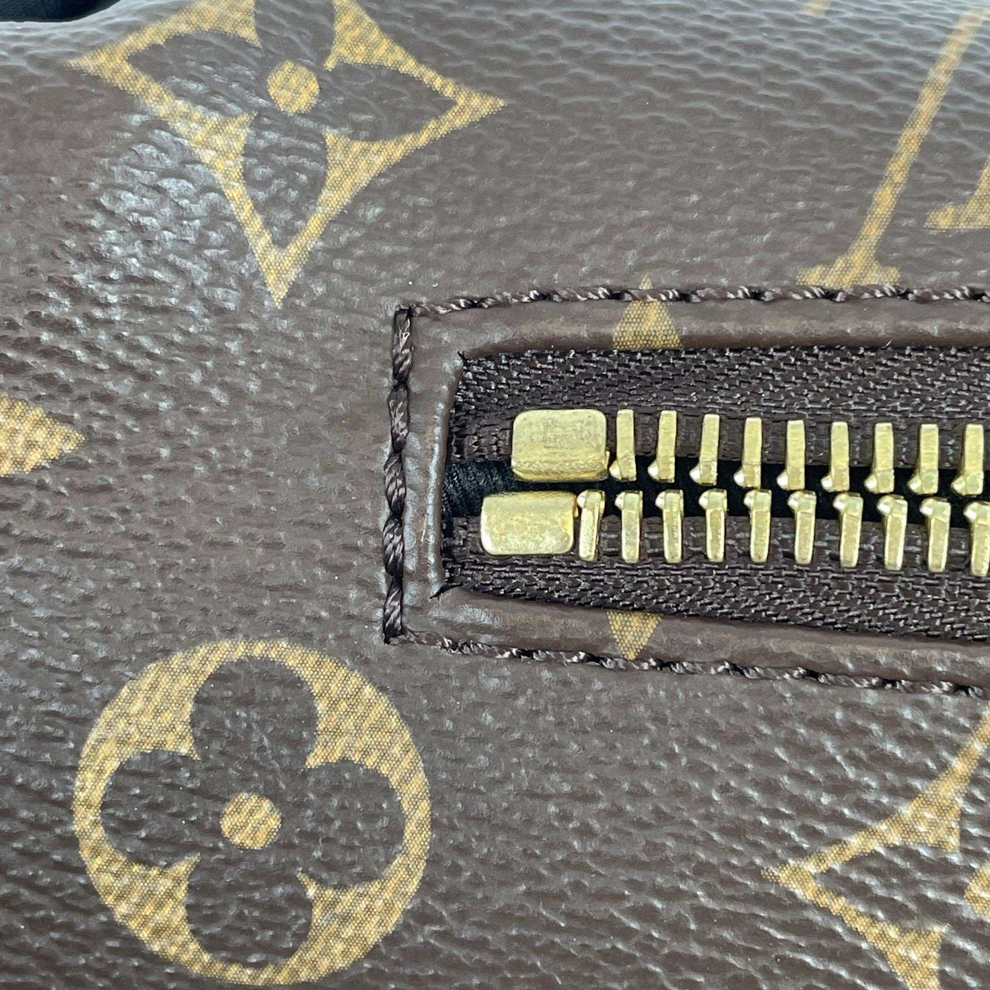 LV  Monogram Body Bag Waist Bag