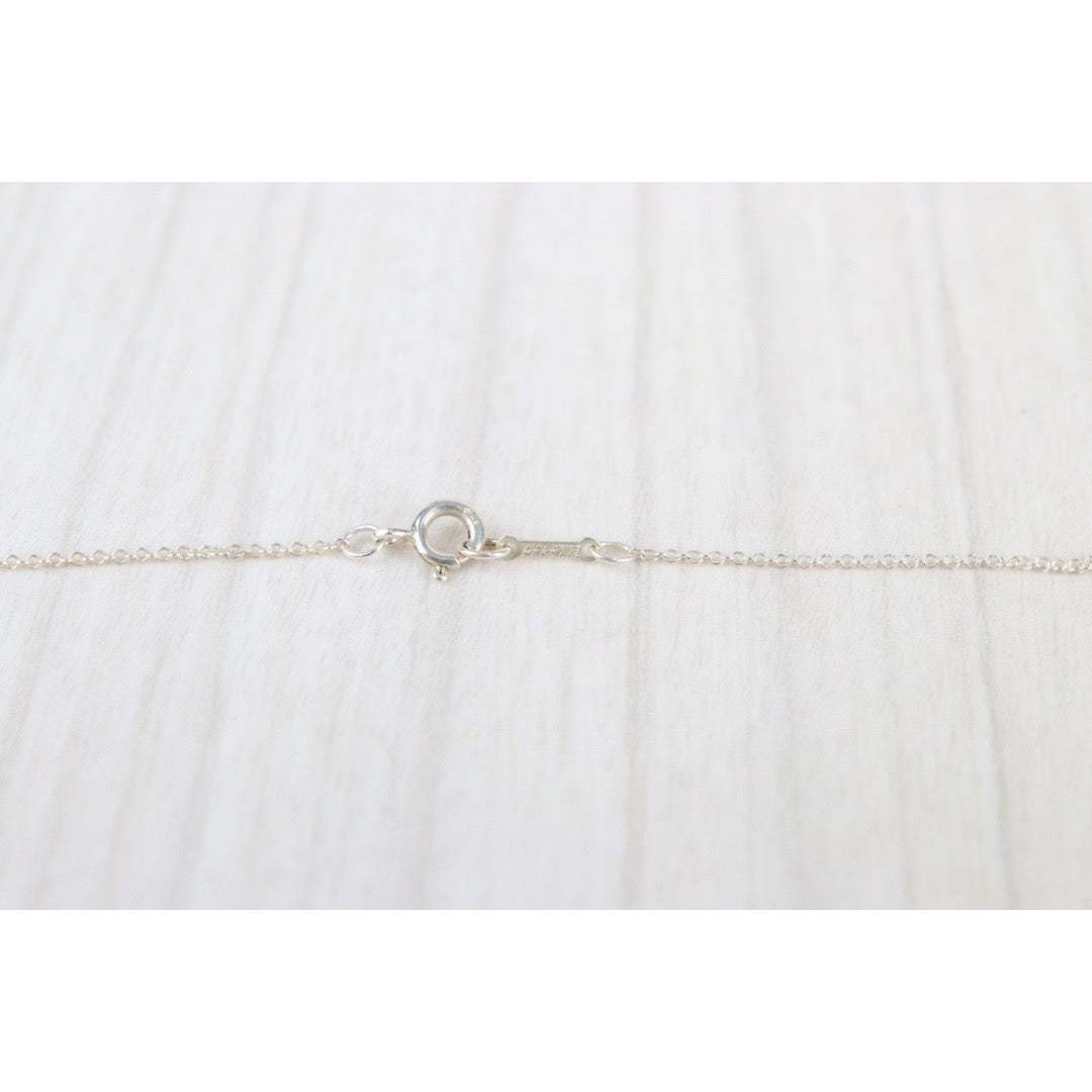 Rank SA｜Tiffany & Co. Beans Necklace SV925｜23042101