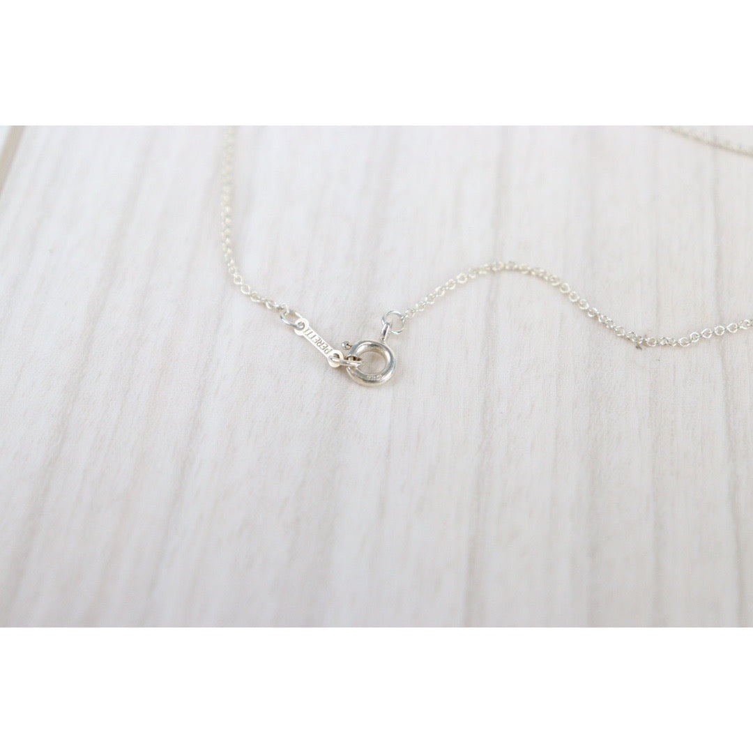 Rank SA｜Tiffany & Co. Beans Necklace SV925｜23042101