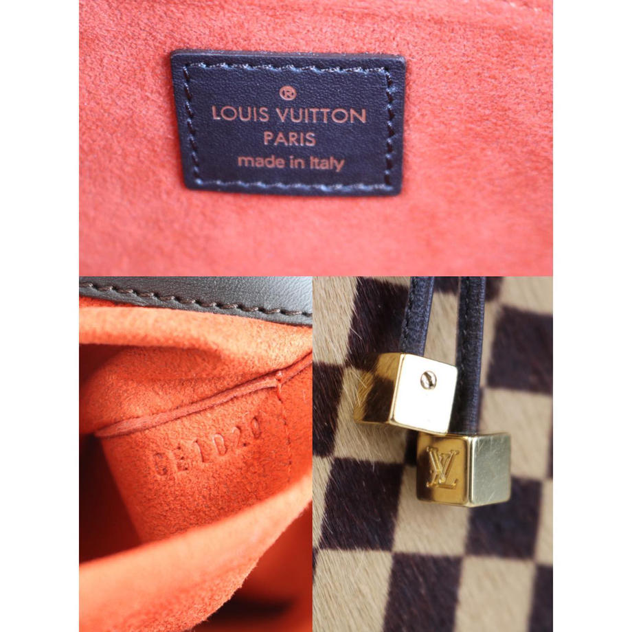 Rank SA ｜   LV Damier Sauvage Calf Hair Handbag ｜090903