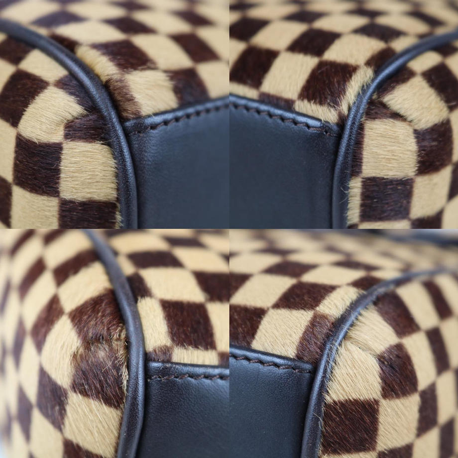 Rank SA ｜   LV Damier Sauvage Calf Hair Handbag ｜090903