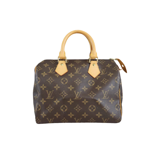 W-Rank AB｜ LV Monogram Speedy 25