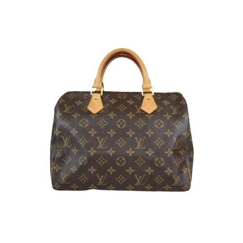 W-Rank AB｜ LV Monogram Speedy 30 HandBag｜061101