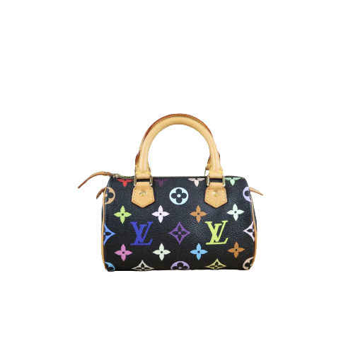 W-Rank SA ｜ LV Multi Monogram Mini Speedy Handbag｜061504