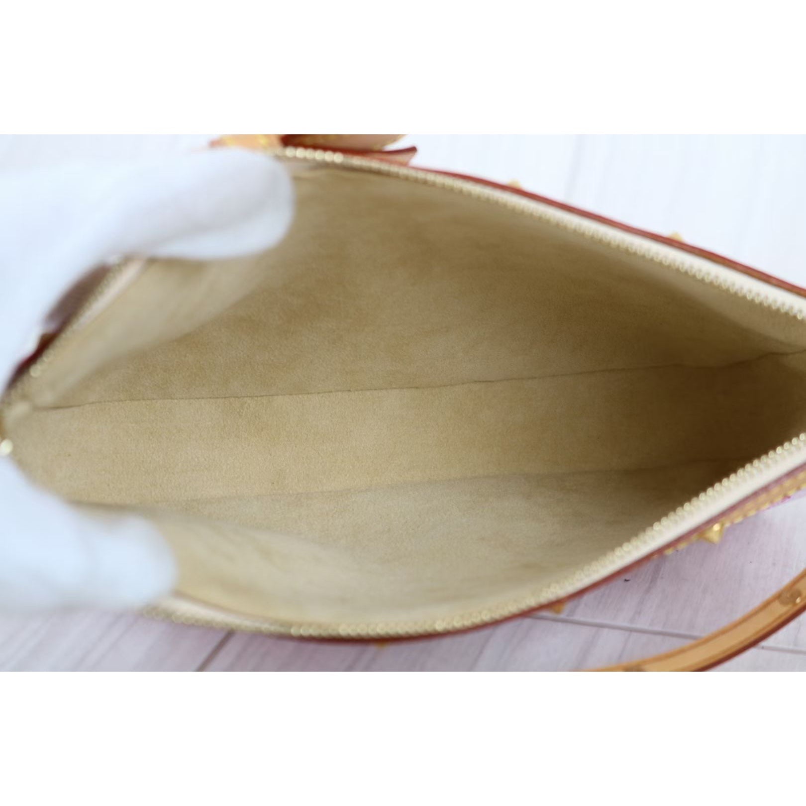 Louis Vuitton Pochette Accessoires Sakura Takashi Murakami Petal Hand Bag  Ac