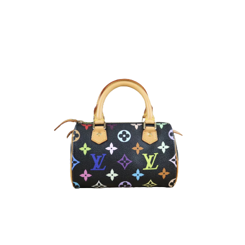 Rank SA ｜ LV Multi Monogram Mini Speedy Handbag｜061504